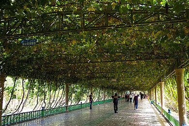 《双影奇境》发布全新故事预告片 3月7日发售